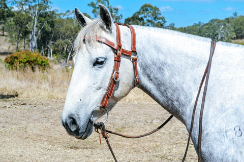 Double Headstall Bridle